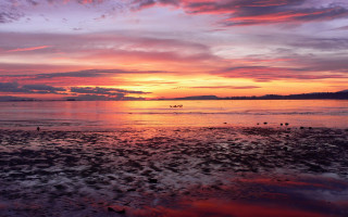 Sunset boat clouds beach city - the water and a sky free wallpaper