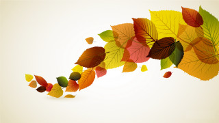Colorful fall leaves border floral - computer graphic free wallpaper