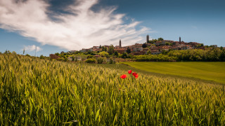 Field castle flower sky landscape - a few white cloud free wallpaper for desktop