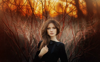 Woman field trees sky autumn - a yellow light free wallpaper