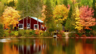 Red cabin lake autumn foliage - a dock in front free wallpaper