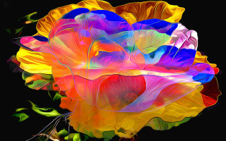 Colorful flower black background digital - a colorful flower free wallpaper