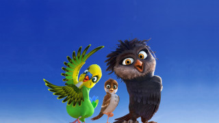 Birds hill blue sky flying - a hill free wallpaper