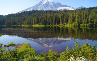Mountain reflection lake trees shrubs - tree and shrubs free wallpaper