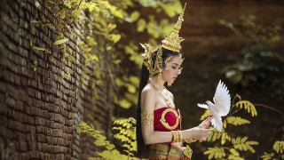 Woman red gold costume white - her hand and a brick wall behind her free wallpaper
