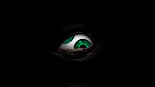 Cat eye green dark night - green eye free wallpaper