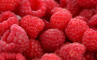 Raspberries closeup macro photorealism red - raspberry free wallpaper