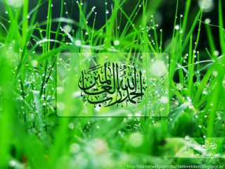 Grass person grass person grass - grass free wallpaper