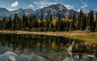 Lake trees mountains clouds fallen - tree in the foreground free wallpaper