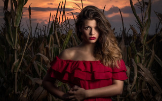 Woman red dress cornfield sunset - a red lip free wallpaper