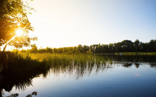 Lake sunset autumn tiltshift forest - a bright sun free wallpaper