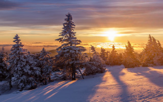 Sunset snowy mountain trees sky - sunrise free wallpaper