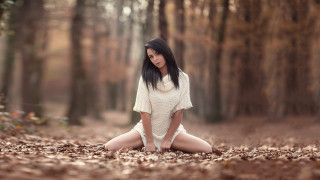Woman forest autumn bokeh blurry - the ground and trees free wallpaper