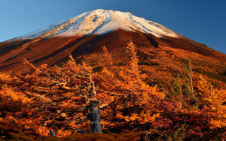 Mountain autumn leaves fire sky - peak in the background free wallpaper for desktop