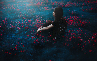 Woman flower field sky light - dreamlike free wallpaper