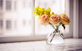 Vase flower bouquet window building - a window sill next free wallpaper