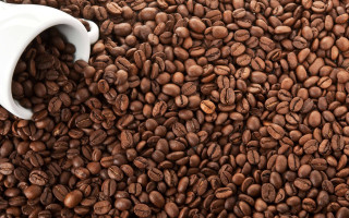 Coffee cup on spilled beans - the cup free wallpaper