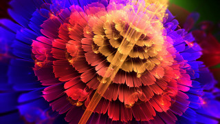 Colorful flower center fireworks fractals - fractal free wallpaper