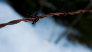 Barbed wire sky blurry tree - wire free wallpaper
