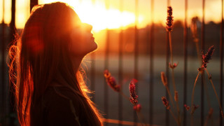 Woman fence sunset autumn hair - the sun setting behind her free wallpaper