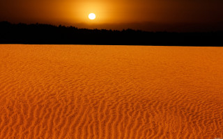 Sunset sandy trees orange sky - a line of trees free wallpaper