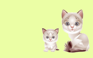 White cat green background yellow - a green background behind them free wallpaper