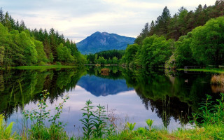 Lake mountains trees cloudy sky 11 - a few duck free wallpaper
