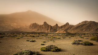 Desert mountain bushes sunset ocean - a few bush free wallpaper