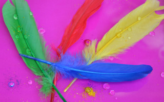 Feathers water droplets colorful planet - a pink surface free wallpaper