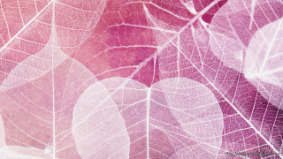 Leaf pattern wallpaper closeup pink - a wallpaper background free wallpaper