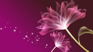 Pink flower stem purple background - a stem free wallpaper