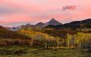 Mountain range pink sky trees - bob thompson free wallpaper