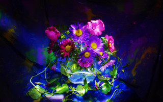 Vase purple yellow flowers tabletop - digital photography free wallpaper