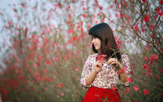 Woman red skirt flower field - a red skirt free wallpaper