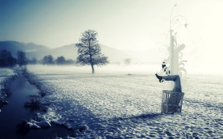 Person bench snow tree foggy - a foggy sky free wallpaper for desktop