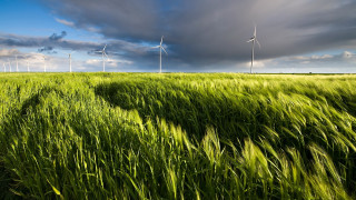 Green field wind turbines blue - cloud above free wallpaper