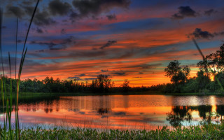 Sunset lake trees grass clouds 2 - cloud and trees free wallpaper
