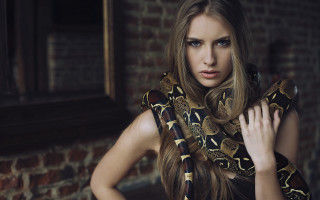 Blonde woman snake brick wall - evert collier free wallpaper