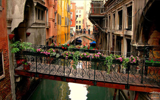 Bridge flowers canal city people - the bridge free wallpaper