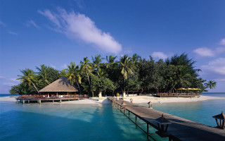 Dock beach hut palm trees - a clear day free wallpaper