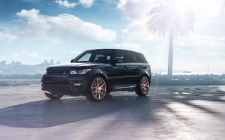 Black range rover beach palm - a palm tree in the background free wallpaper