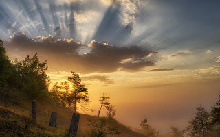 Sunset fence trees hill clouds - cloud and sun rays free wallpaper
