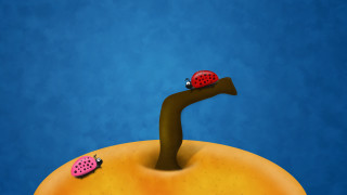 Ladybug bread ladybug back popsurrealism - desmond morris free wallpaper