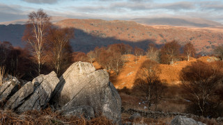 Mountain range forest sunset twilight - moody free wallpaper