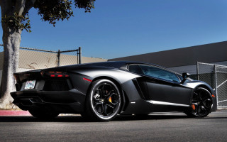 Black sports car fenced tree - a tree in the background and a building in the background free wallpaper