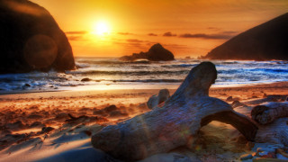 Beach log sunset rocks water - rock and water free wallpaper