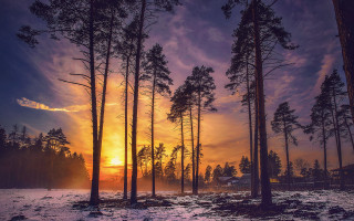 Sunset woods house trees snow - atmospheric free wallpaper