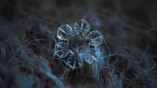 Snowflake grass night macro water - crystal cubism free wallpaper
