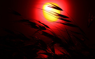 Red light silhouette moon sunset - a red light in the background free wallpaper for desktop