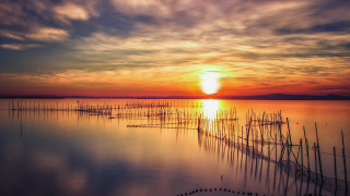Sunset water poles boats crepuscular - a few boat free wallpaper